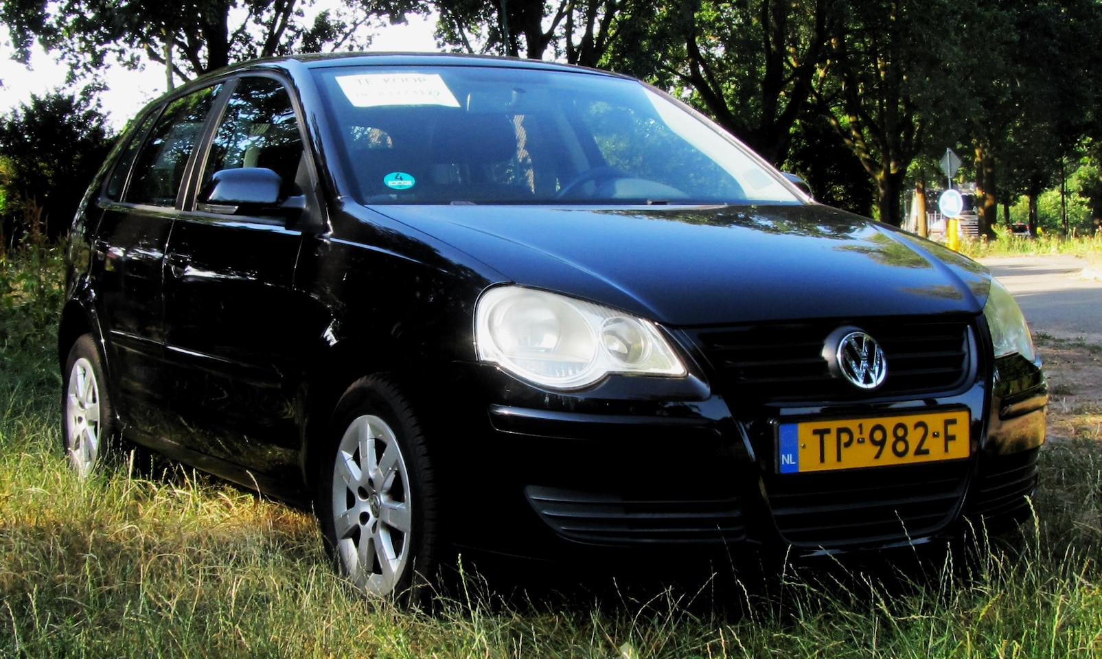 Volkswagen Polo - 1.2-12V Trendline 5 Deurs. Lichtmetalen Velgen. Airco. - AutoWereld.nl