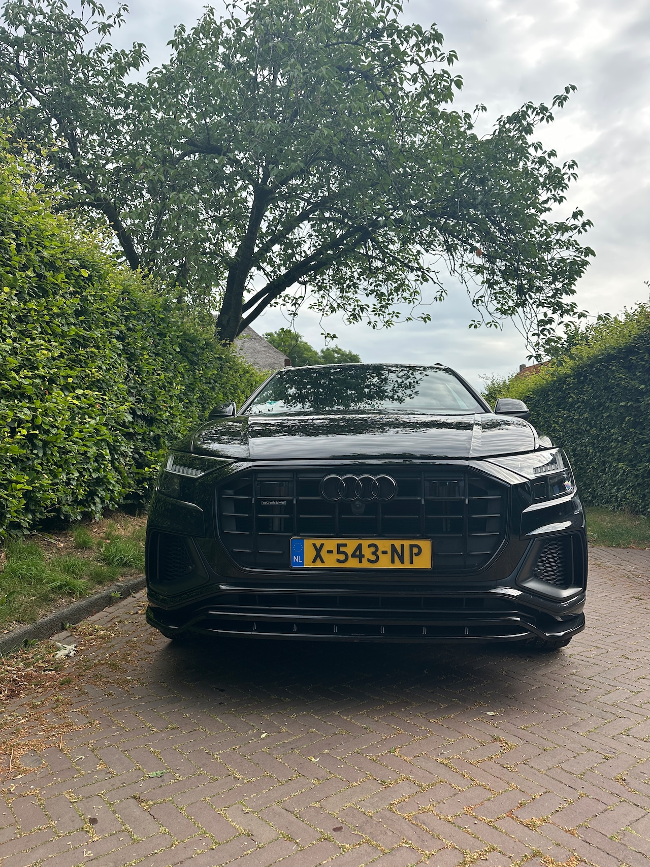 Audi Q8 - 55 TFSI e quattro Pro Line Advanced - AutoWereld.nl