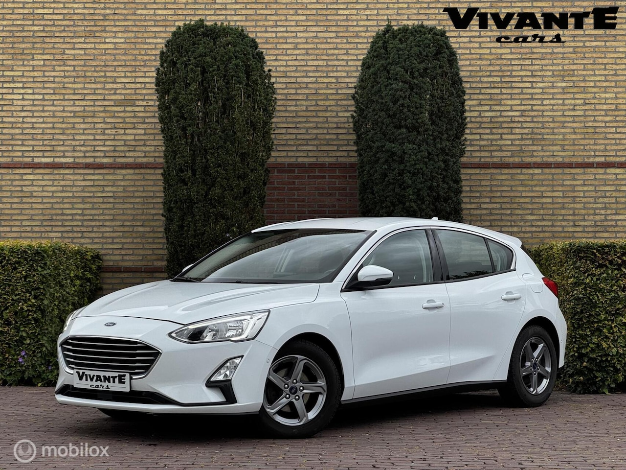 Ford Focus - 1.0 EcoBoost Titanium Business Carplay*Camera*Cruise - AutoWereld.nl