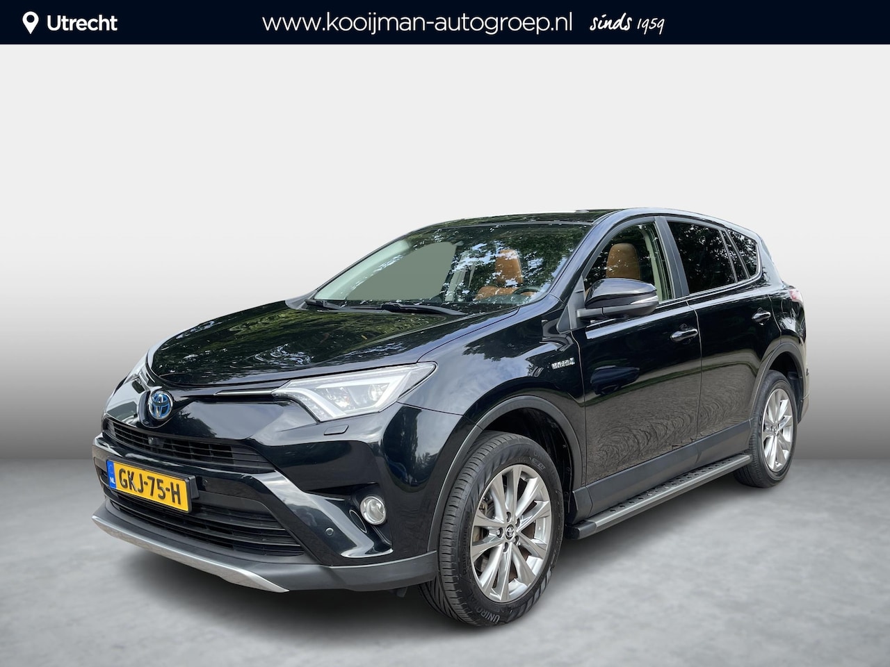 Toyota RAV4 - 2.5 Hybrid Executive | Panorama dak | Dodehoek detectie | 360° camera | Trekhaak| Adaptive - AutoWereld.nl