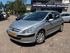 Peugeot 307 - 1.6-16V XT *NW. APK*AIRCO*CRUISE*5 DEURS*ELEKTR. RAMEN*STUURBEKR