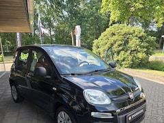 Fiat Panda - TwinAir 60PK Edizione Cool