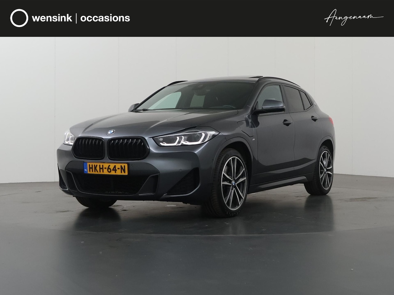 BMW X2 - xDrive25e High Executive | M-Pakket | Panoramadak | Sportstoelen | HUD | M-Sportstoelen El - AutoWereld.nl