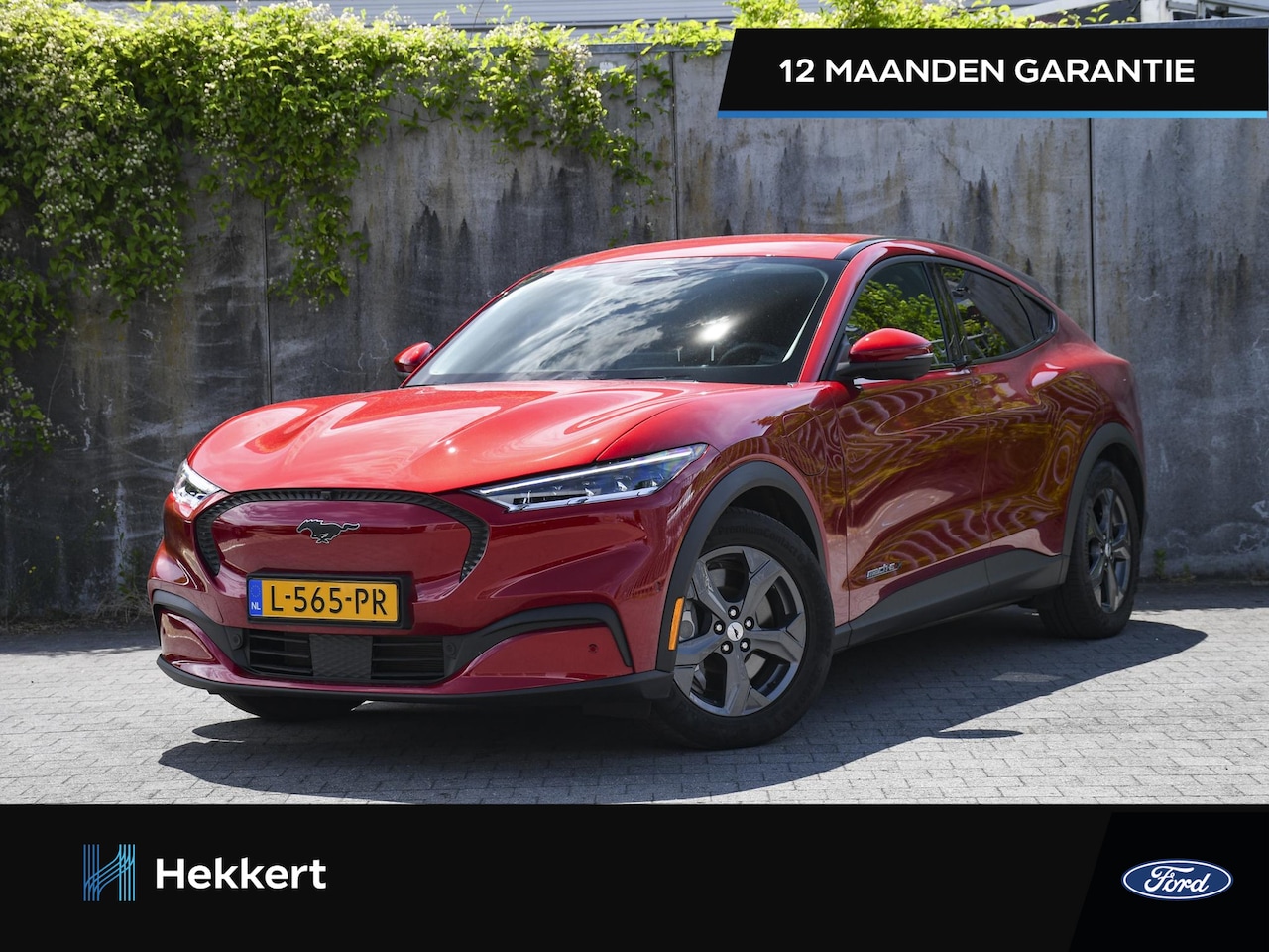 Ford Mustang Mach-E - Premium Extended Range 98 kWh 351pk RWD Automaat 360 CAM. | B&O | ADAPT. CC | NAVI | DAB | - AutoWereld.nl