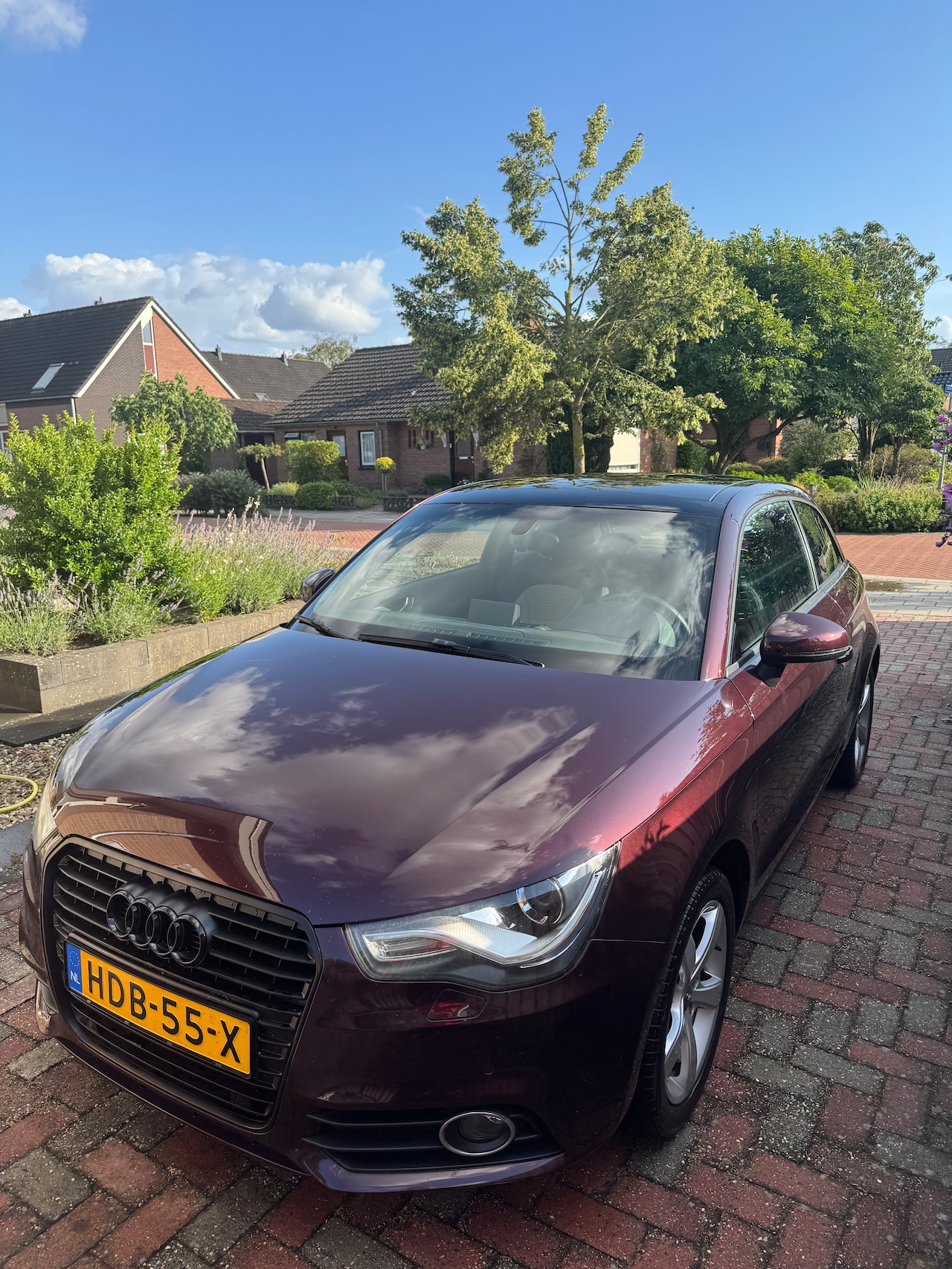 Audi A1 - 1.2 TFSI Ambition Pro Line - AutoWereld.nl