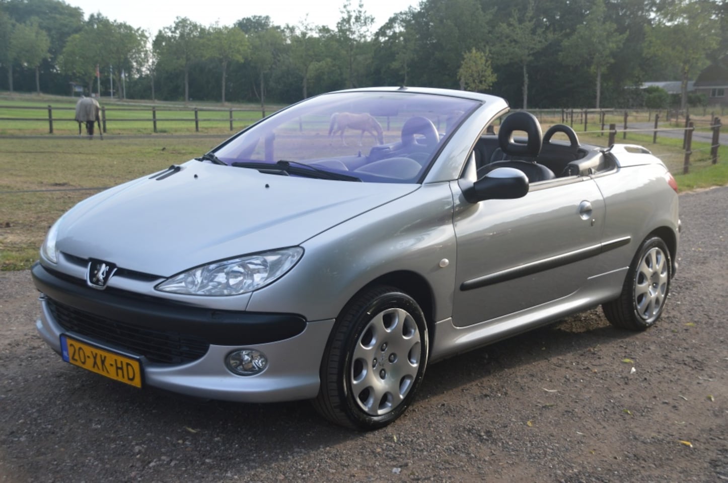 Peugeot 206 CC - 2.0-16V Airco Leer APK Juli 2027 - AutoWereld.nl