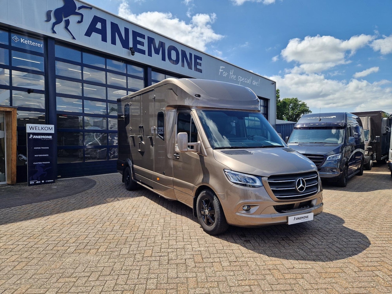 Mercedes-Benz Sprinter - Occasion paardenwagen MTM S5L voor 2 paarden automaat met 5 zitplaatsen en hengsten uitvoe - AutoWereld.nl