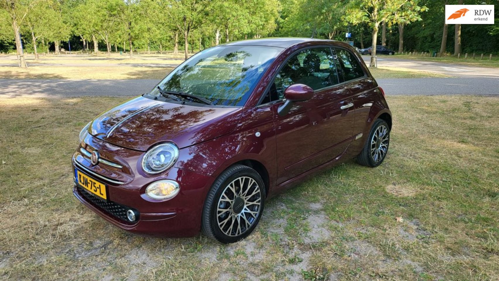 Fiat 500 - 1.0 Hybrid Launch Edition 1.0 Hybrid Launch Edition,Pano,Leder,Cr.Contr.,enz - AutoWereld.nl