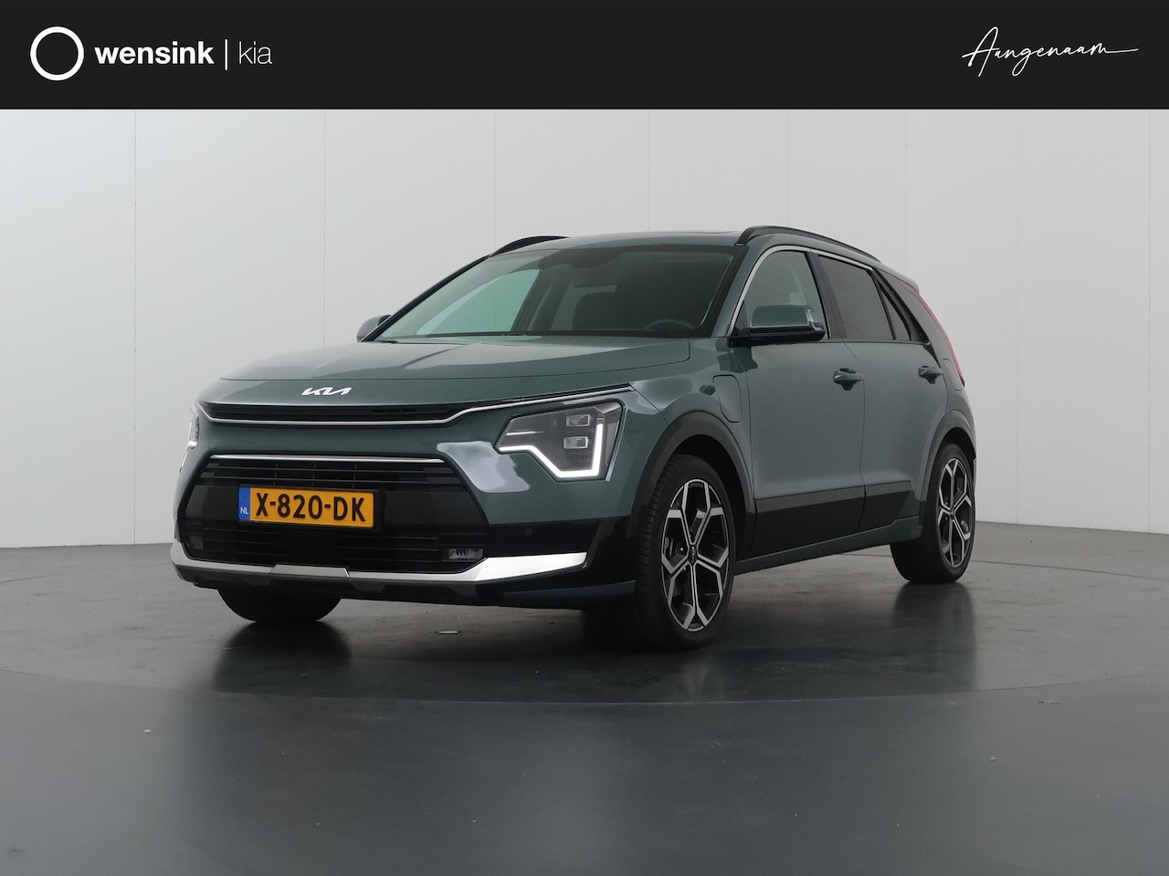 Kia Niro - 1.6 GDi PHEV ExecutiveLine | Trekhaak | Panoramadak | Harman/kardon audio | Stoelventilati - AutoWereld.nl