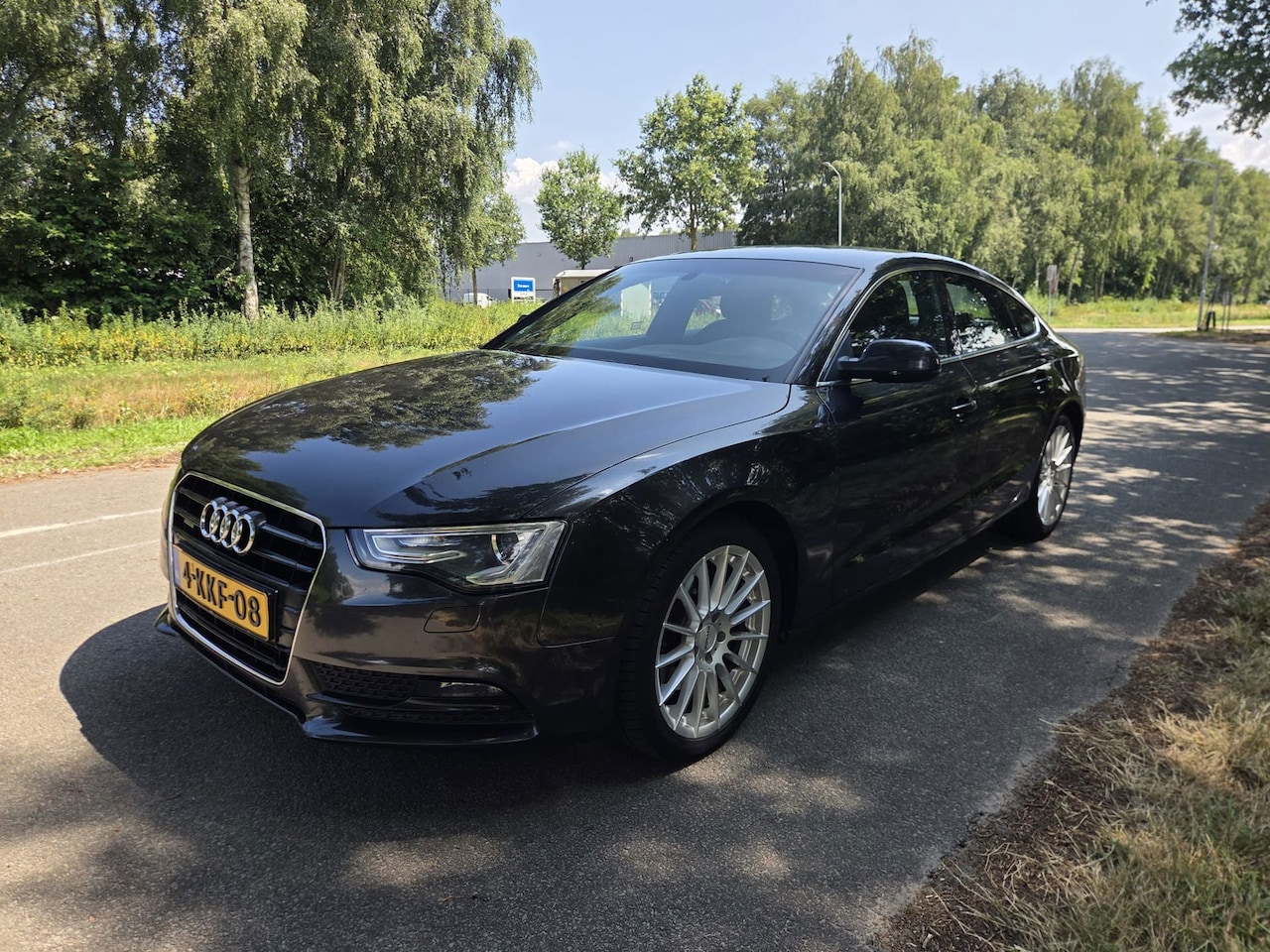 Audi A5 Sportback - 3.0 TDI quattro Pro Line S 3.0 TDI quattro Pro Line S - AutoWereld.nl