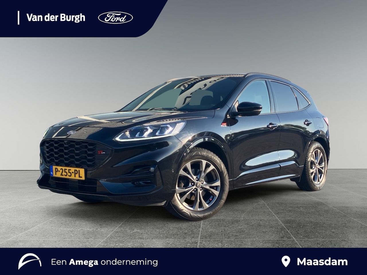 Ford Kuga - ST-Line X 1.5 EcoBoost 150pk Trekhaak - 1.800 kg geremd - Winter-, Drivers Assistance, en - AutoWereld.nl