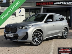 BMW iX1 - xDrive30 67 kWh FROZEN PURE panodak