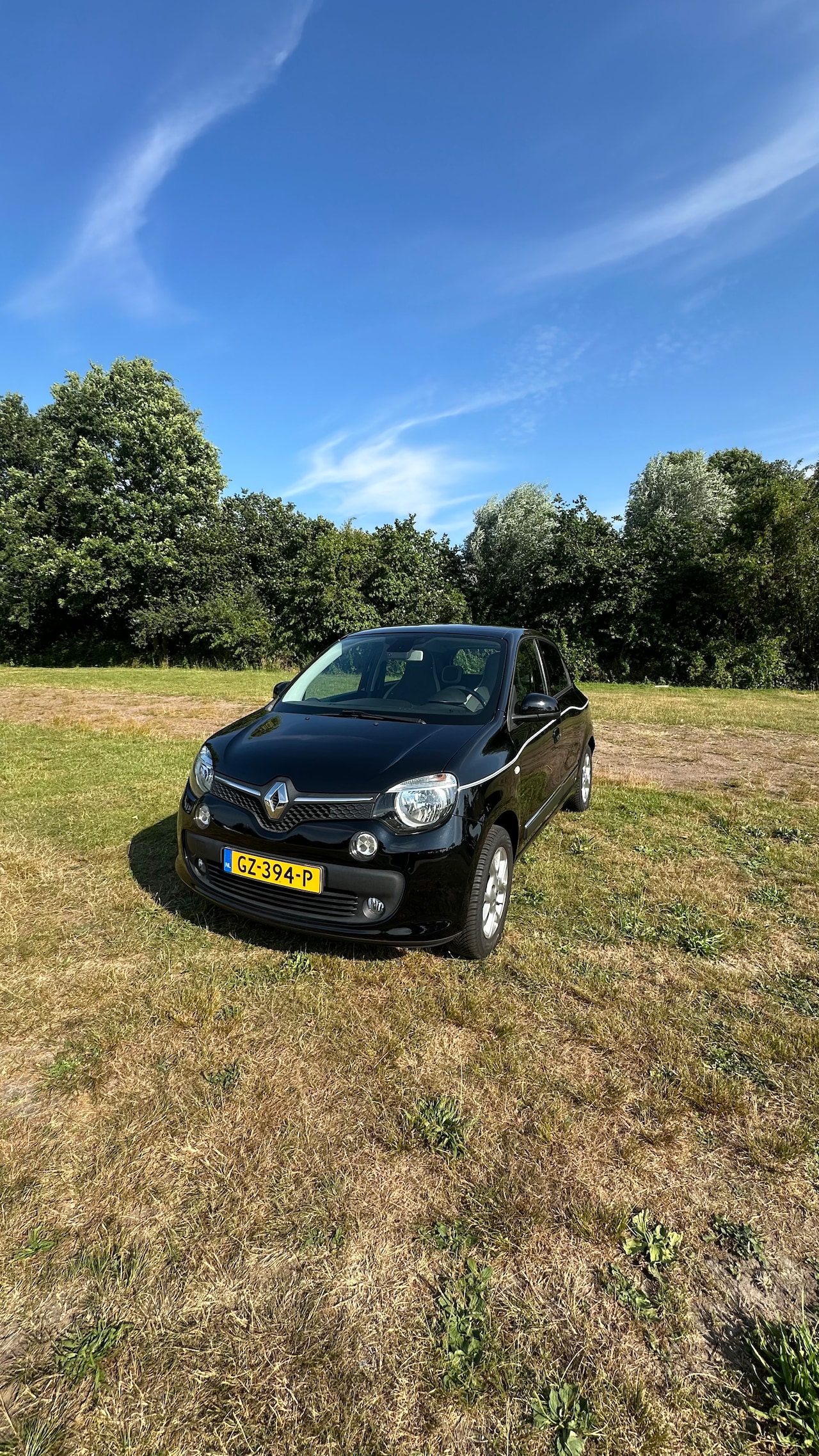 Renault Twingo - 1.0 SCe Dynamique - AutoWereld.nl