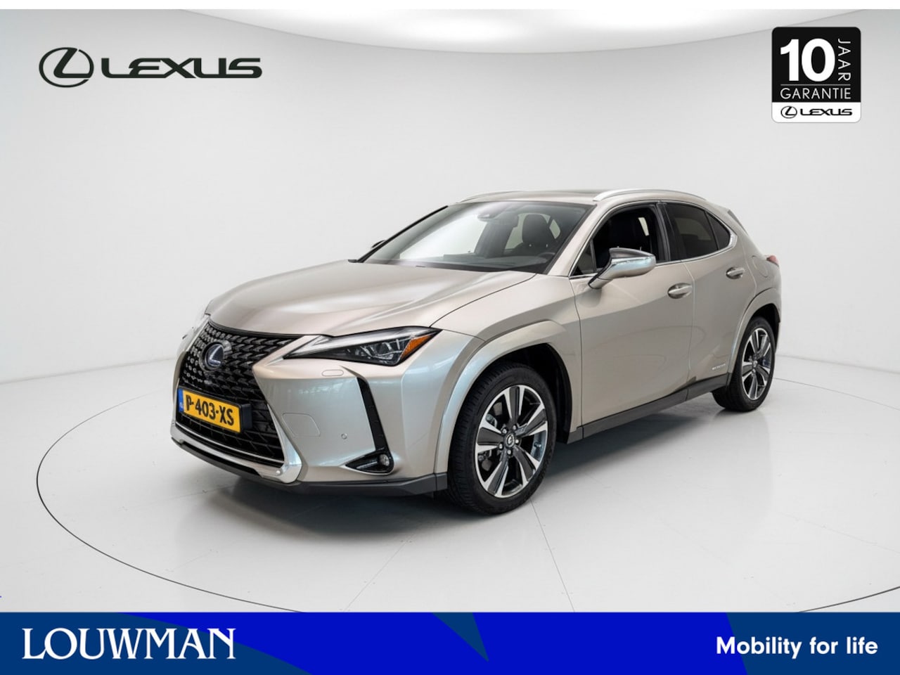 Lexus UX - 250h Executive Line | President Pack | Schuif- Kanteldak | Mark Levinson | - AutoWereld.nl