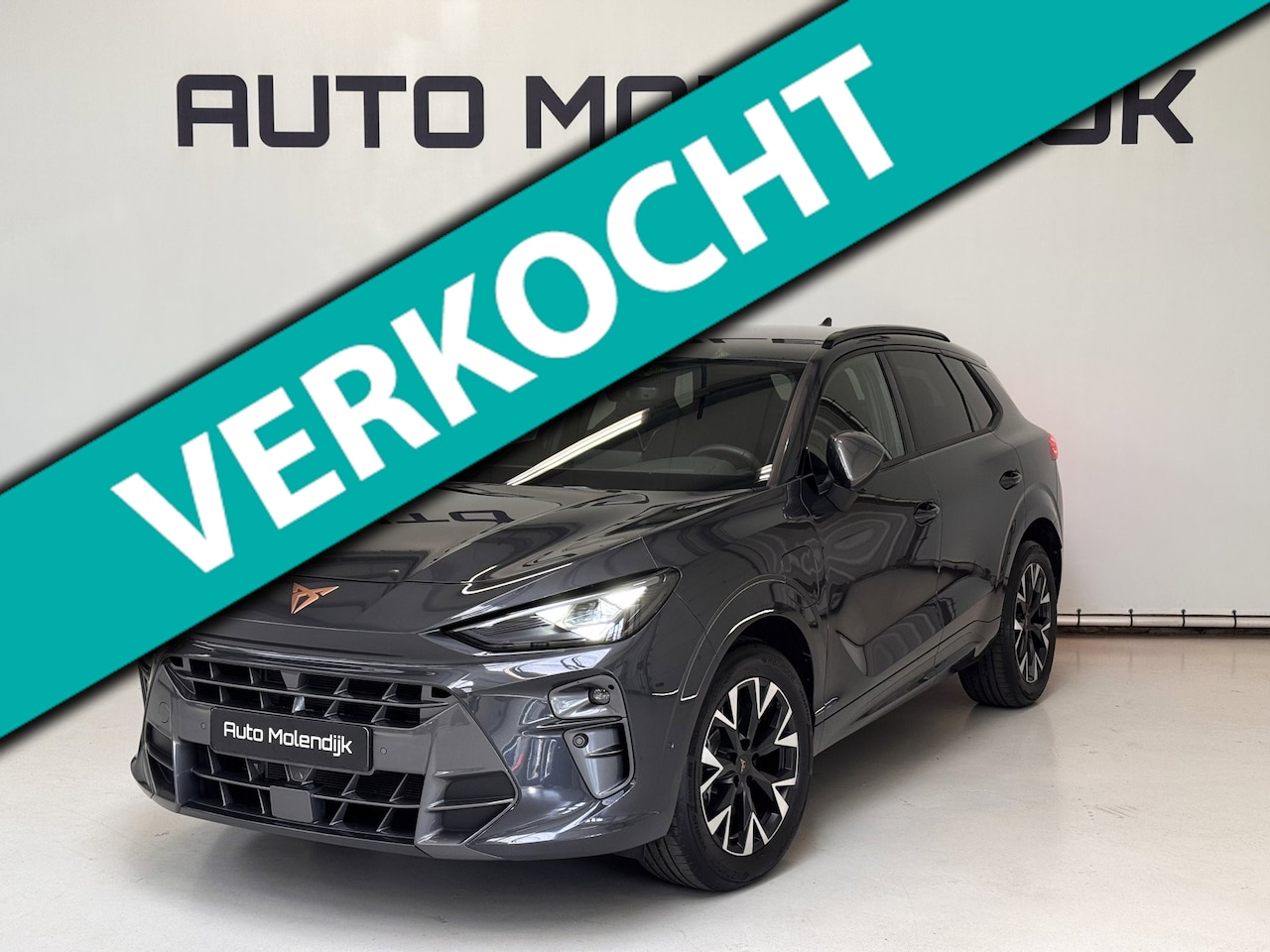 CUPRA Terramar - 1.5 TSI PHEV e-Hybrid / Memory / el. klep/ HuD / virtual / 5jr Garantie - AutoWereld.nl