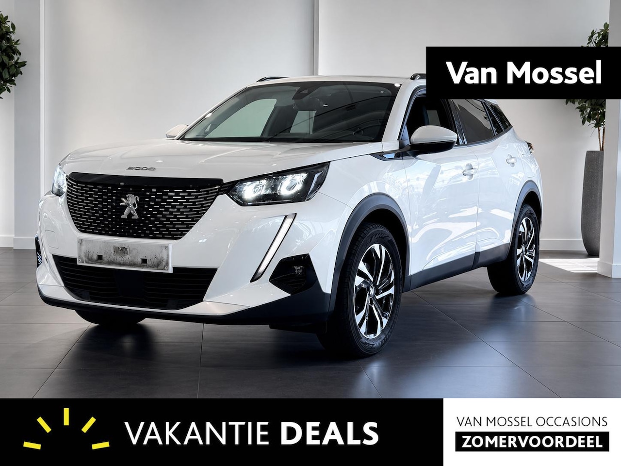 Peugeot 2008 - 1.2 PureTech Allure 1.2 PureTech Allure - AutoWereld.nl