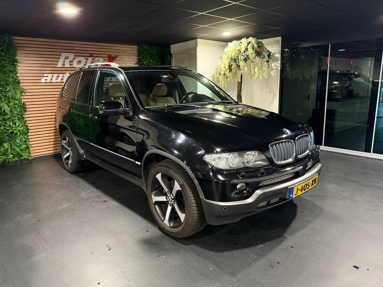 BMW X5 - 3.0i High Executive GOED ONDERHOUDEN - NETTE STAAT. - AutoWereld.nl
