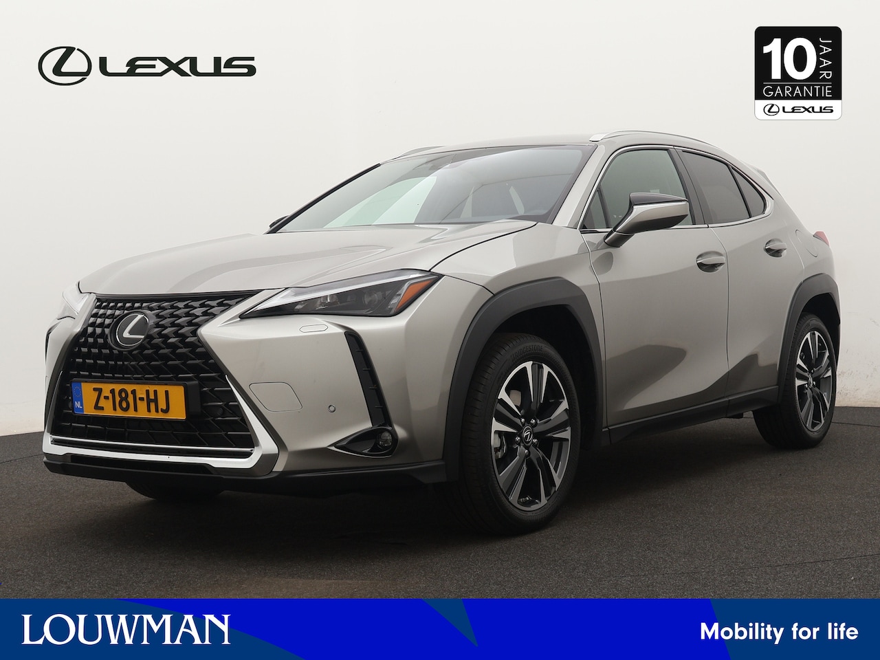 Lexus UX - 250h Business Line | Parkeersensoren | Connected Services | Keyless Entry | - AutoWereld.nl