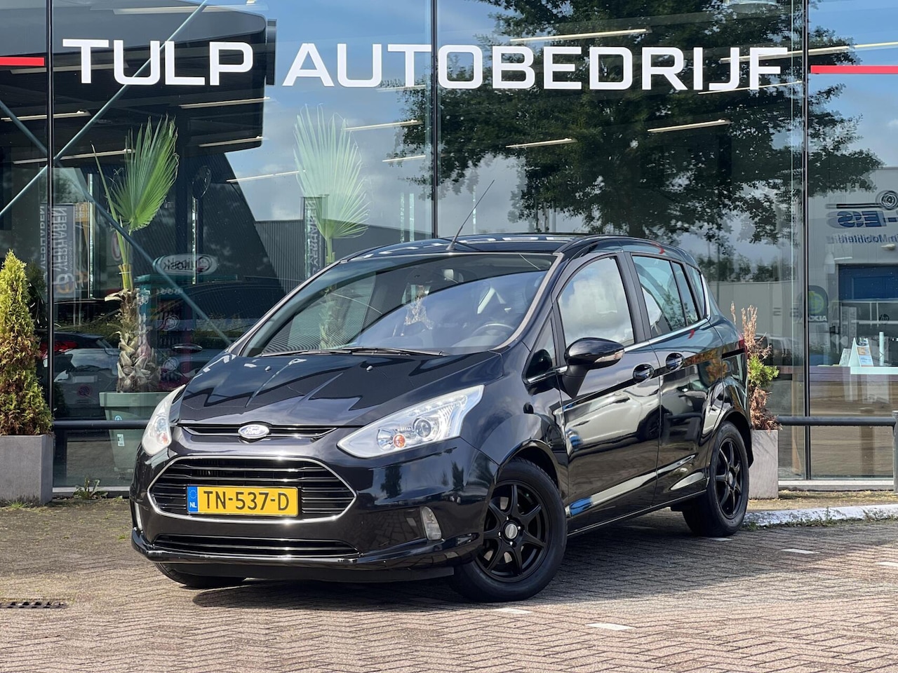 Ford B-Max - 1.0 EcoBoost Titanium Sony Trekhaak Goed onderhoud - AutoWereld.nl