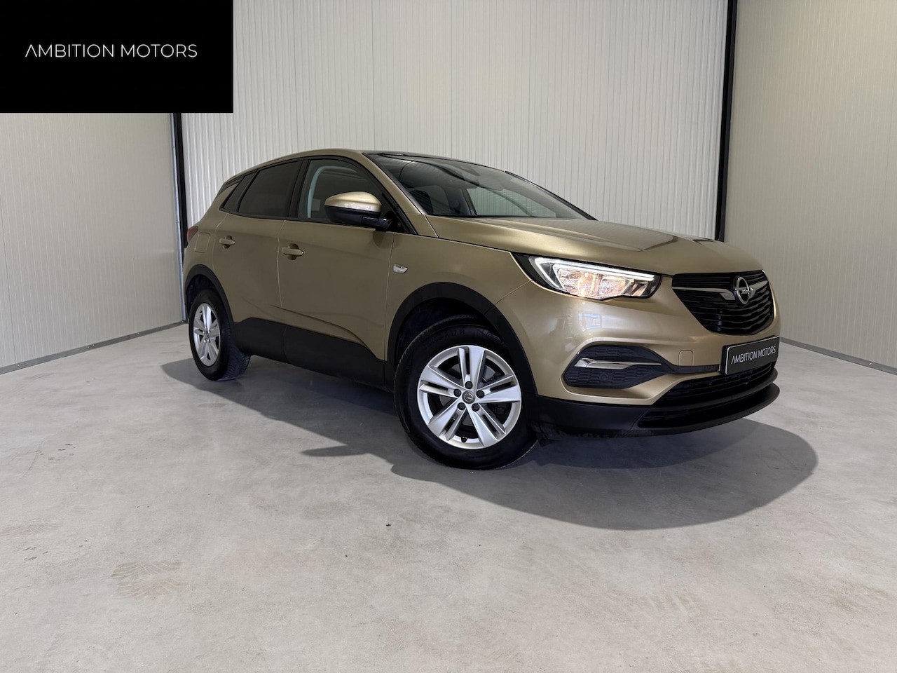Opel Grandland X - 1.2 Turbo Business Executive Sunroof/CruiseControl - AutoWereld.nl