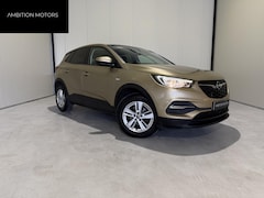 Opel Grandland X - 1.2 Turbo Business Executive Sunroof/CruiseControl