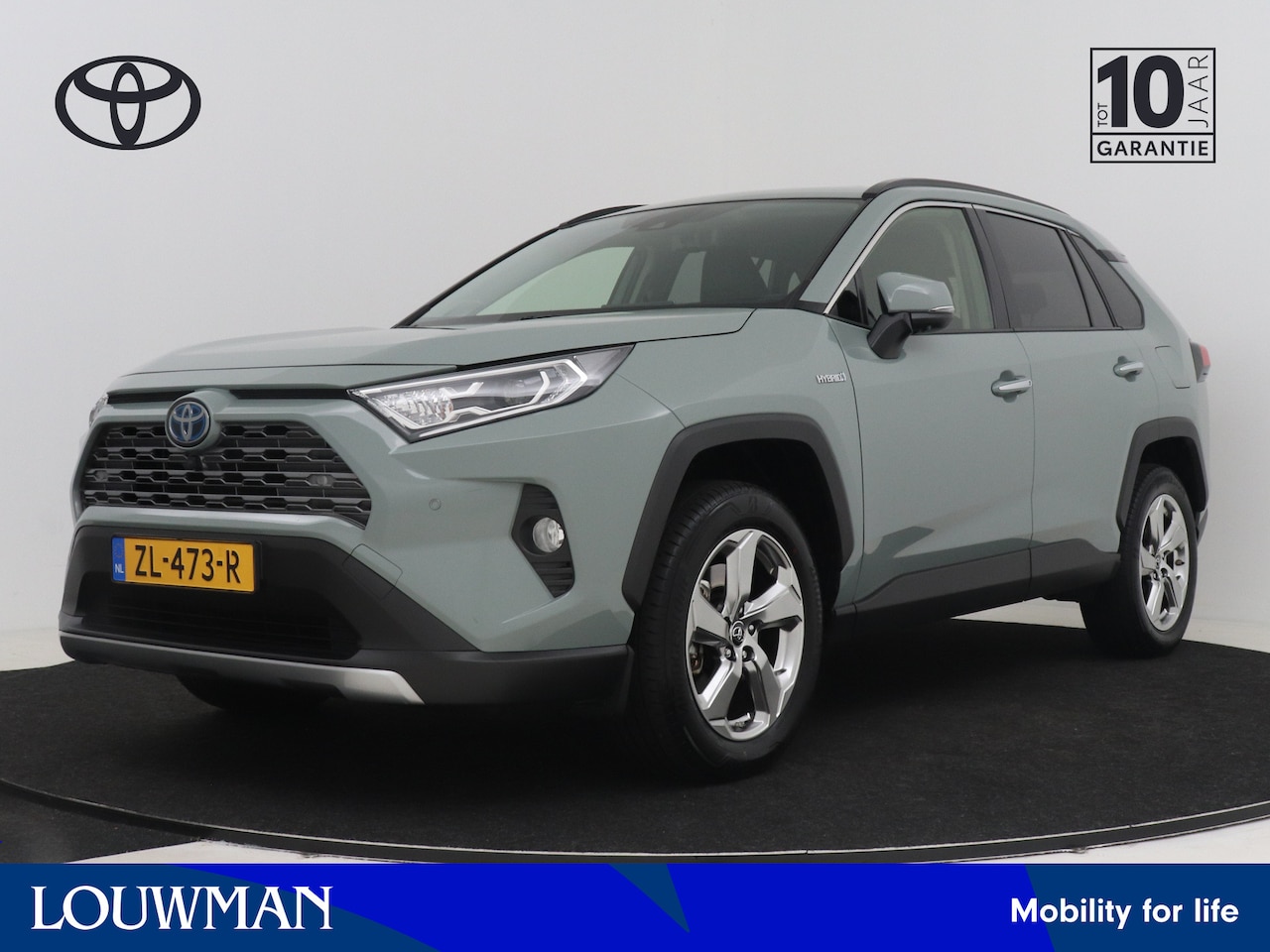Toyota RAV4 - 2.5 Hybrid Executive | Dealer Onderhouden | JBL | 360 Camera + Camera Binnenspiegel | Park - AutoWereld.nl