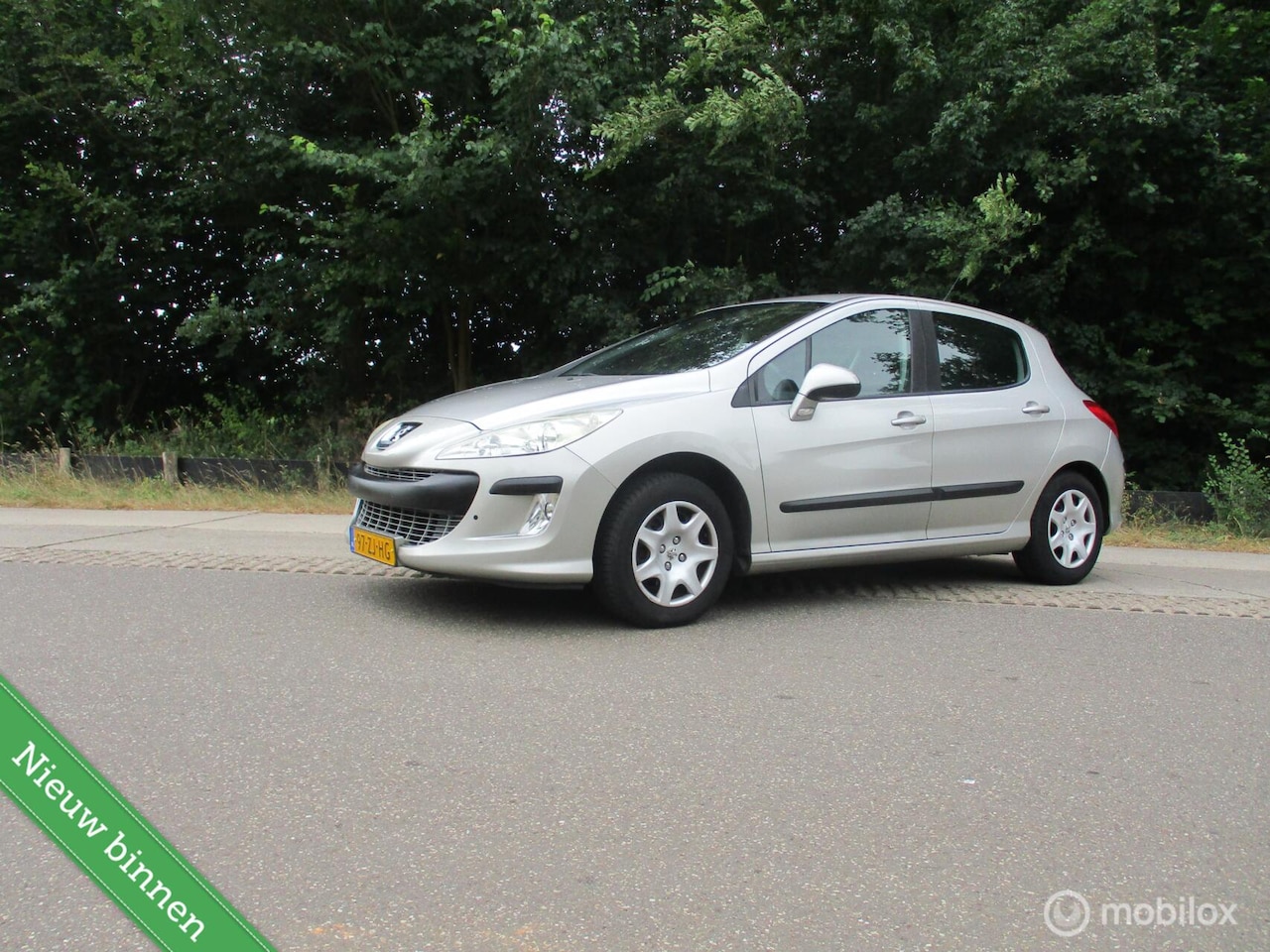 Peugeot 308 - 1.6 VTi XS 1.6 VTi XS - AutoWereld.nl