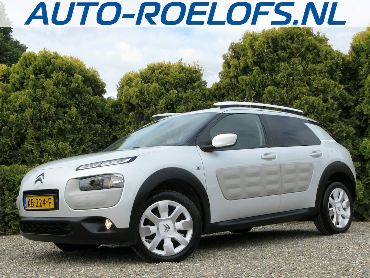 Citroën C4 Cactus - 1.2 PureTech * Navi * Cruise * Camera * - AutoWereld.nl