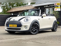 MINI Cabrio - 1.5 Cooper Pepper Business Automaat I Leder I Harman Kardon I Camera I Navigatie I Stoelve