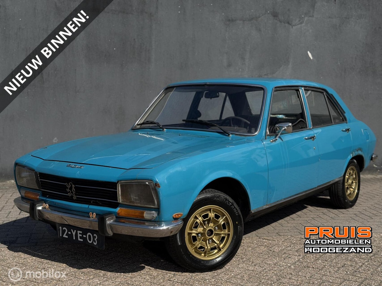Peugeot 504 - 2.0 GL 1974 -LPG- (APK-VRIJ) *INRUIL MOGELIJK* - AutoWereld.nl