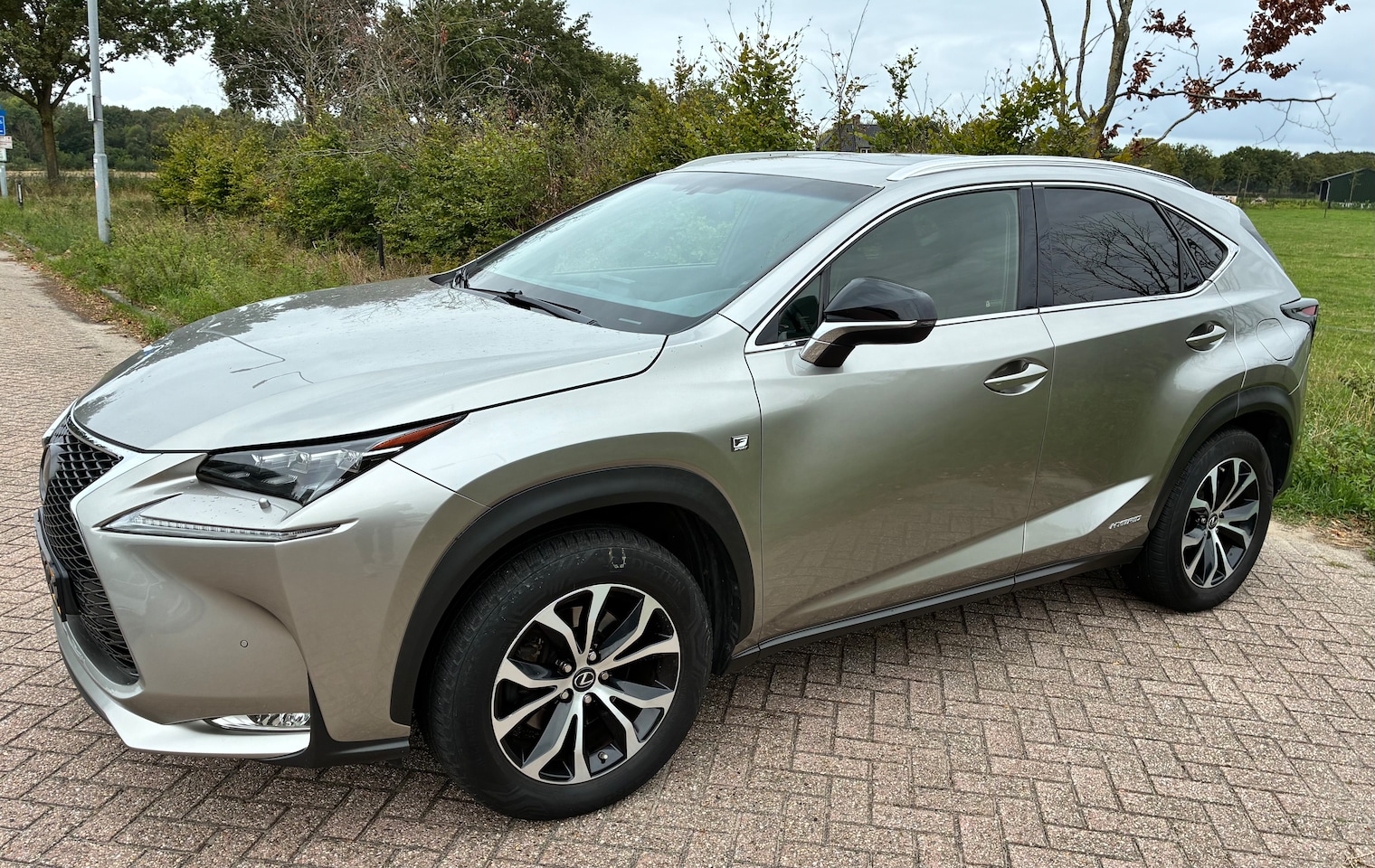 Lexus NX - 300h AWD F Sport Line hybride accupakket is vernieuwd - AutoWereld.nl