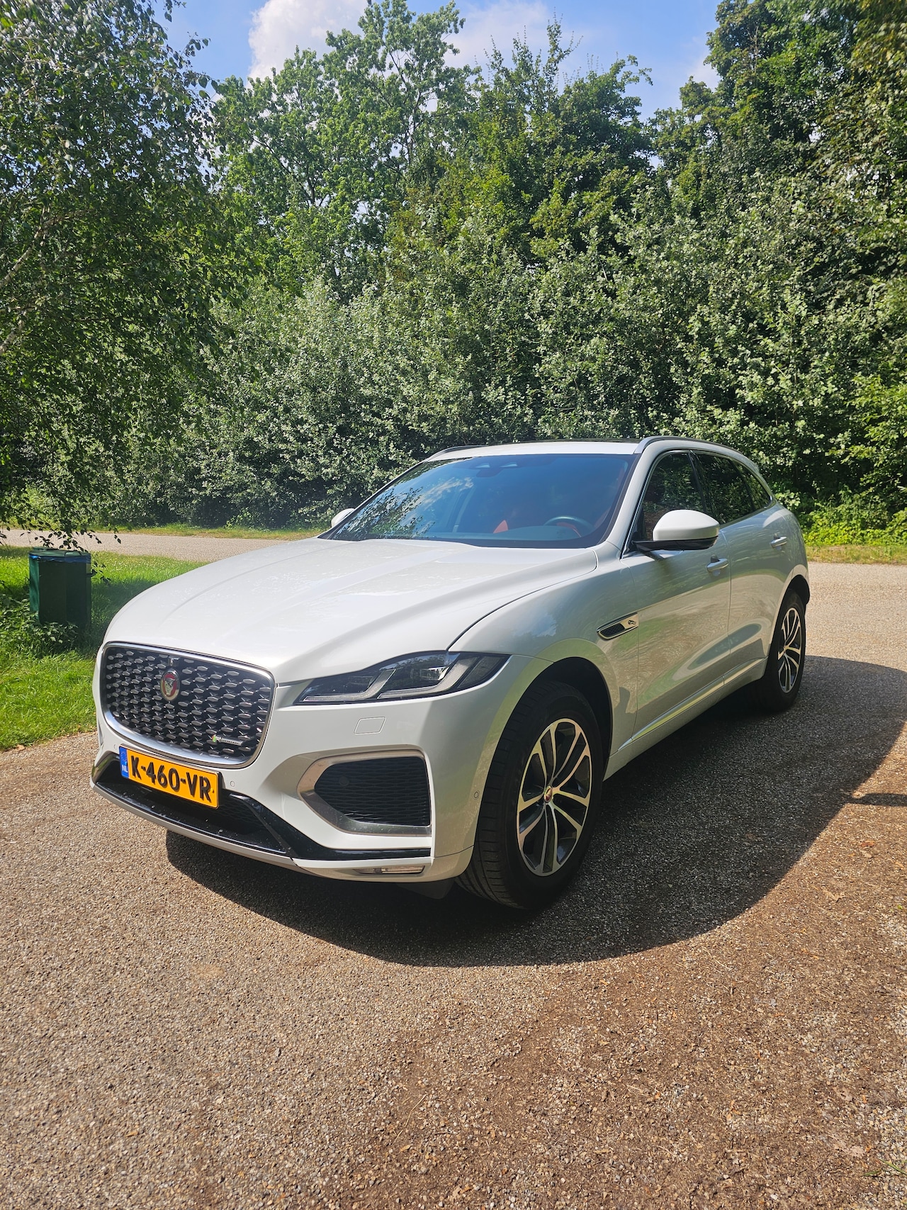 Jaguar F-Pace - 2.0 P250 R-Dynamic S - AutoWereld.nl