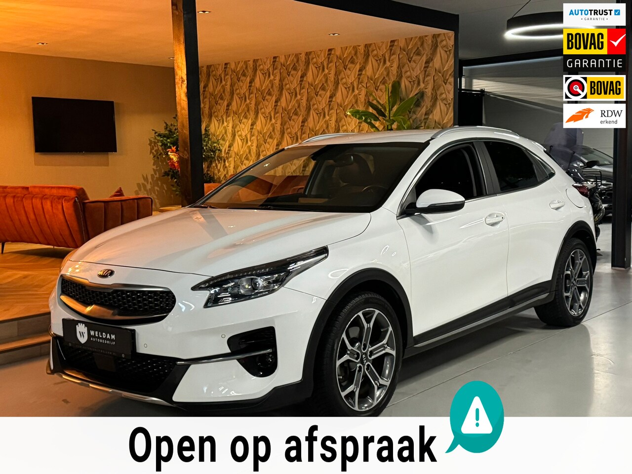 Kia XCeed - 1.5 T-GDI Platinum Edition|Mild-Hybrid|Memory Leder|ACC|CarPlay|Stoelventilatie|Keyless|Ri - AutoWereld.nl