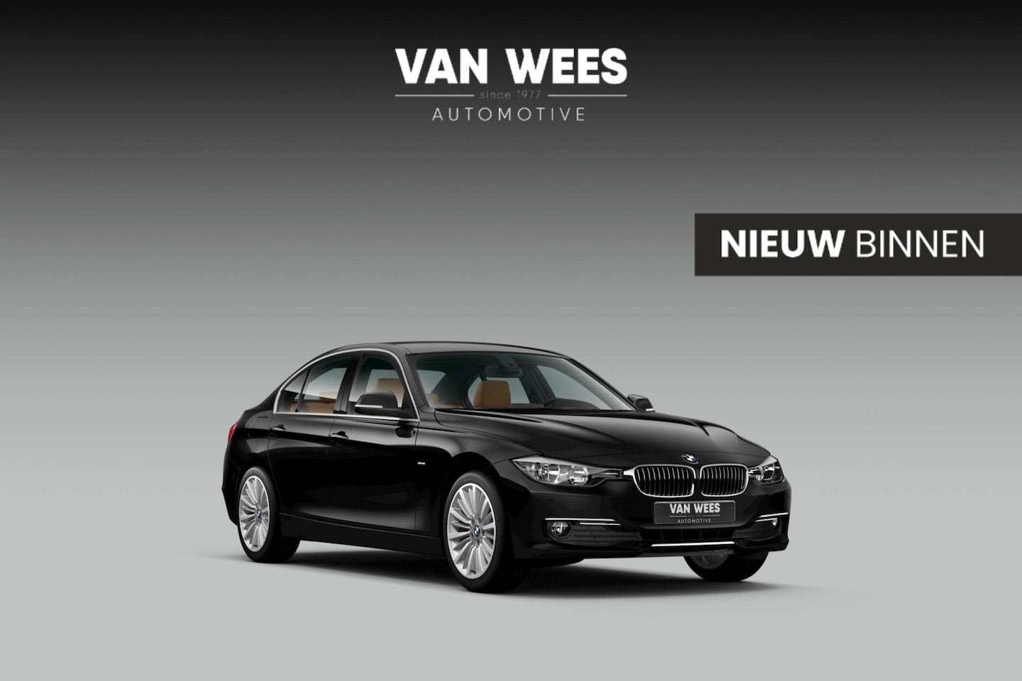BMW 3-serie - 316i Executive | Luxury Line | Sportstuur | Cruise control | Sportstoelen | Stoelverwarmin - AutoWereld.nl