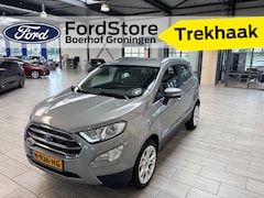 Ford EcoSport - EcoBoost 125 pk Titanium | Camera | Winter Pack | B&O | Half leer | Keyless Entry | Trekha