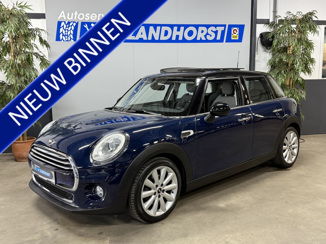 MINI 5-Deurs - 1.5 Cooper Business Led koplampen // Panodak - AutoWereld.nl