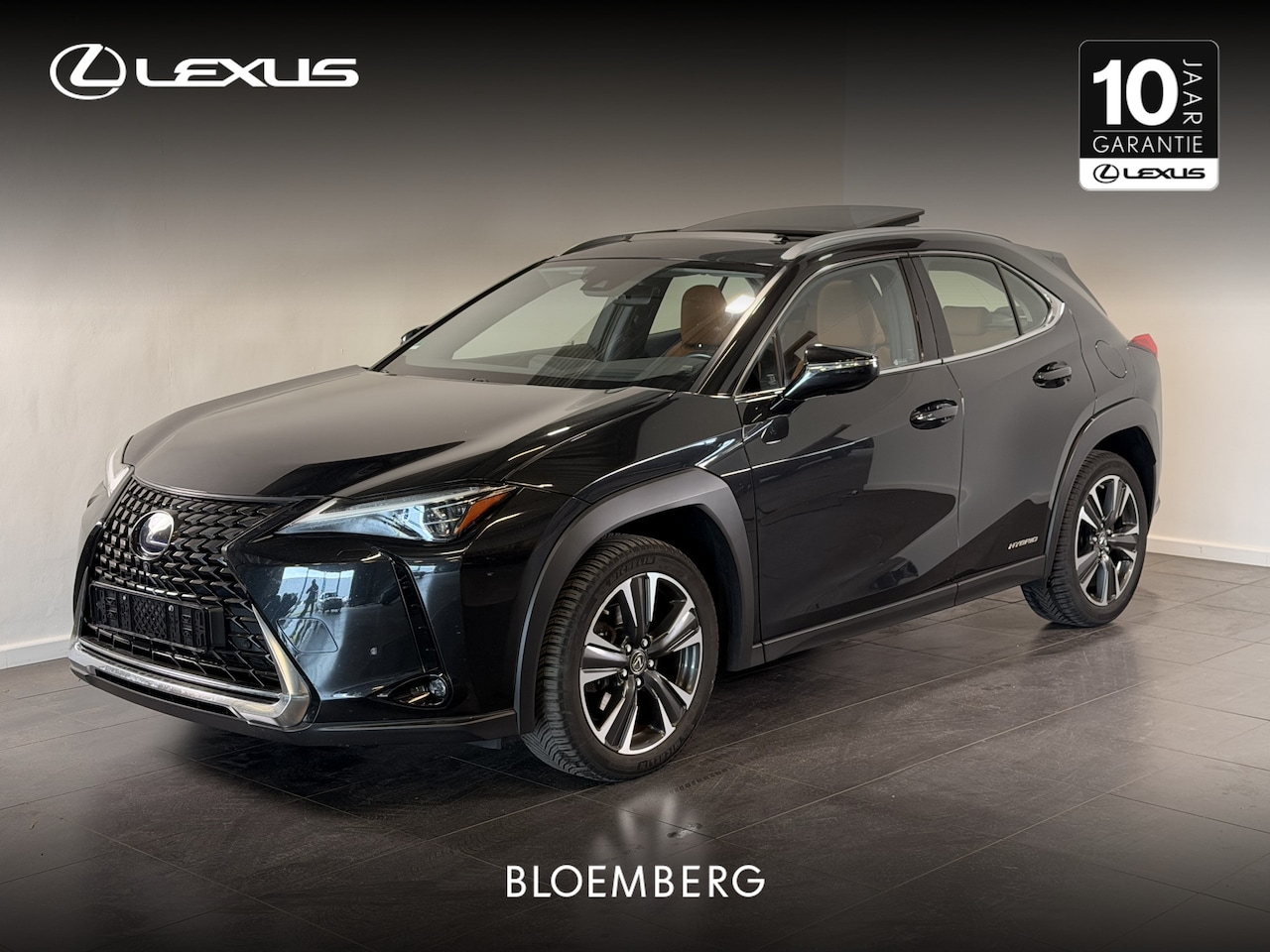 Lexus UX - 250h Executive Line | Schuif-kantel dak | Leder | - AutoWereld.nl
