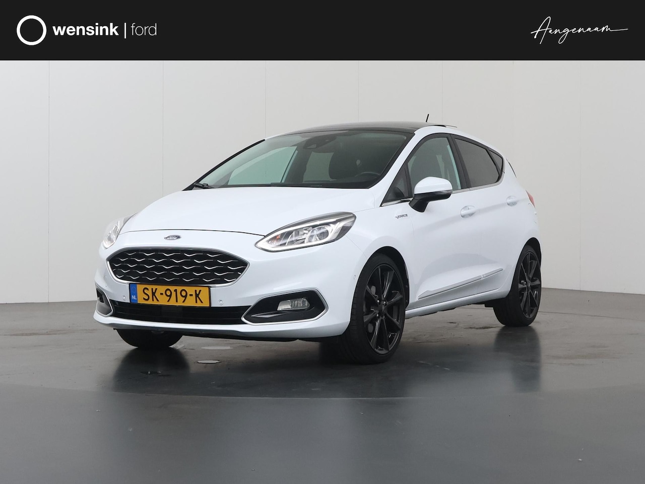 Ford Fiesta - 1.0 EcoBoost Vignale | Panoramadak | Winterpakket | B&O | DAB | Navigatie | Cruise Control - AutoWereld.nl