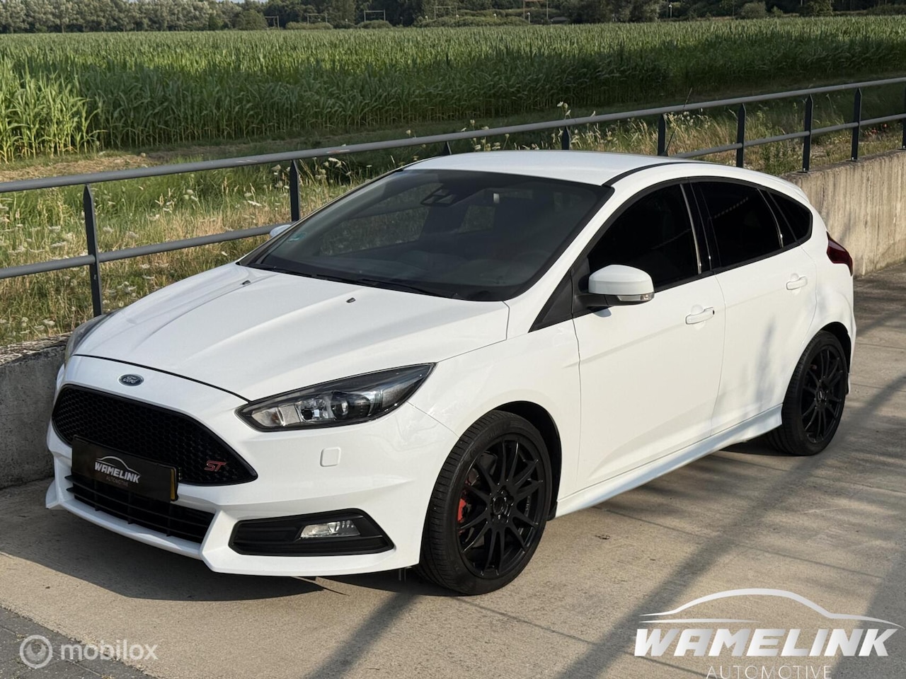 Ford Focus - 2.0 ST 2016 Dealer OH - AutoWereld.nl