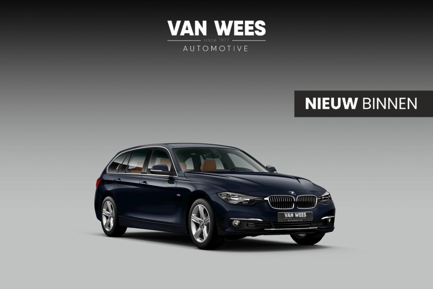 BMW 3-serie Touring - 318i Executive | Luxury Line | 2e eigenaar | Sportstuur | Cruise control | Navigatie | Blu - AutoWereld.nl