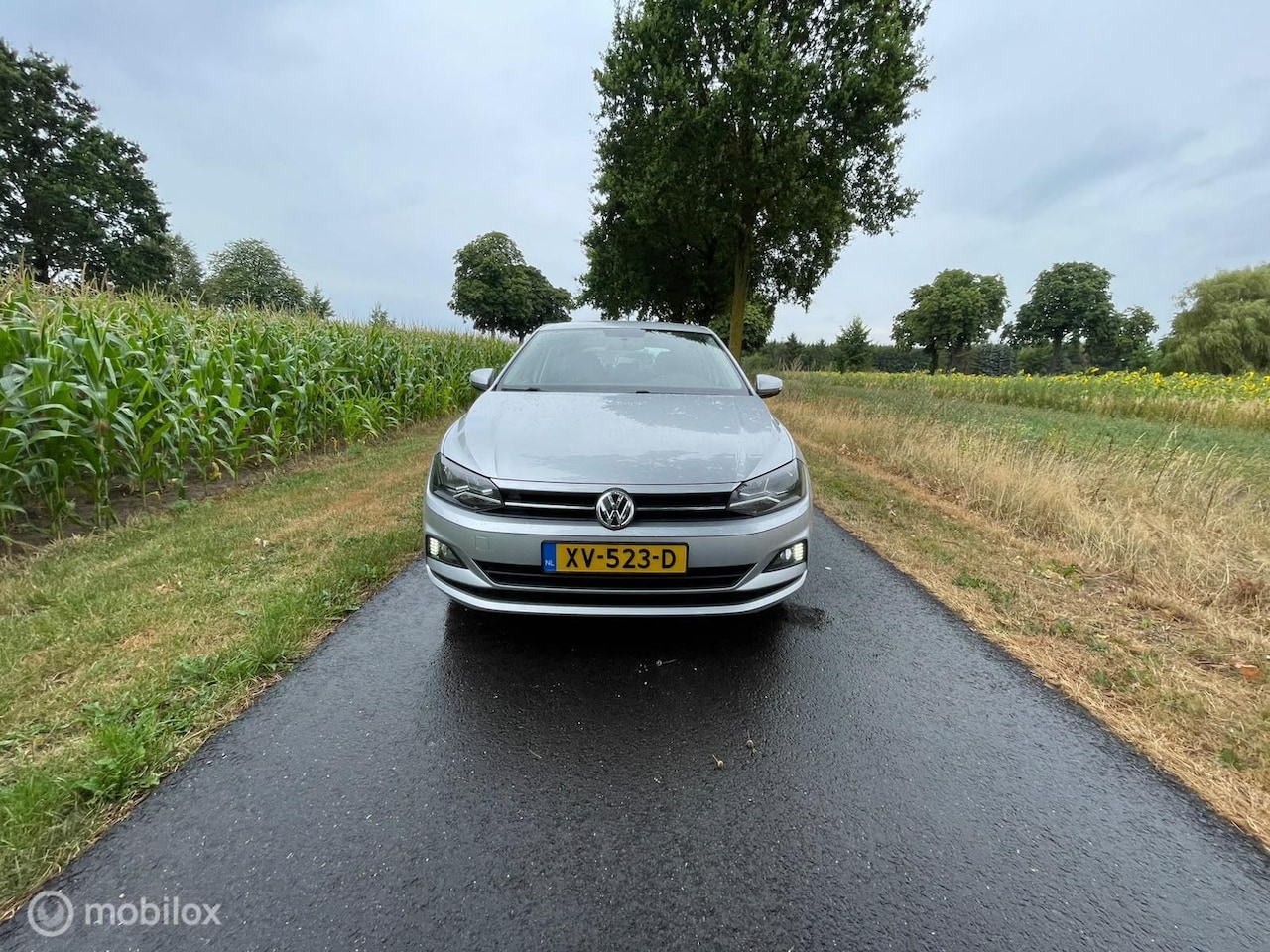 Volkswagen Polo - 1.0 MPI Comfortline Business 1.0 MPI Comfortline Business - AutoWereld.nl