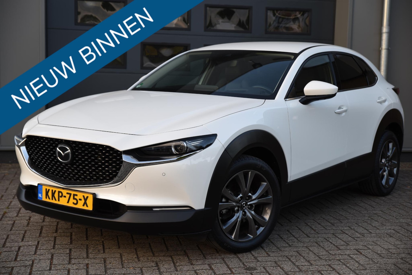 Mazda CX-30 - 2.0 e-SkyActiv-X M Hybrid Luxury Afneembare trekhaak - AutoWereld.nl