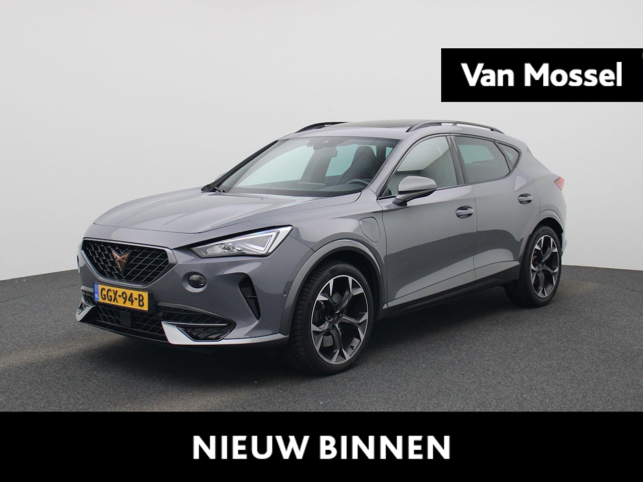 CUPRA Formentor - 1.4 e-Hybrid Business 204 PK | Automaat | Apple Carplay/Android Auto | Navigatie | Adaptiv - AutoWereld.nl