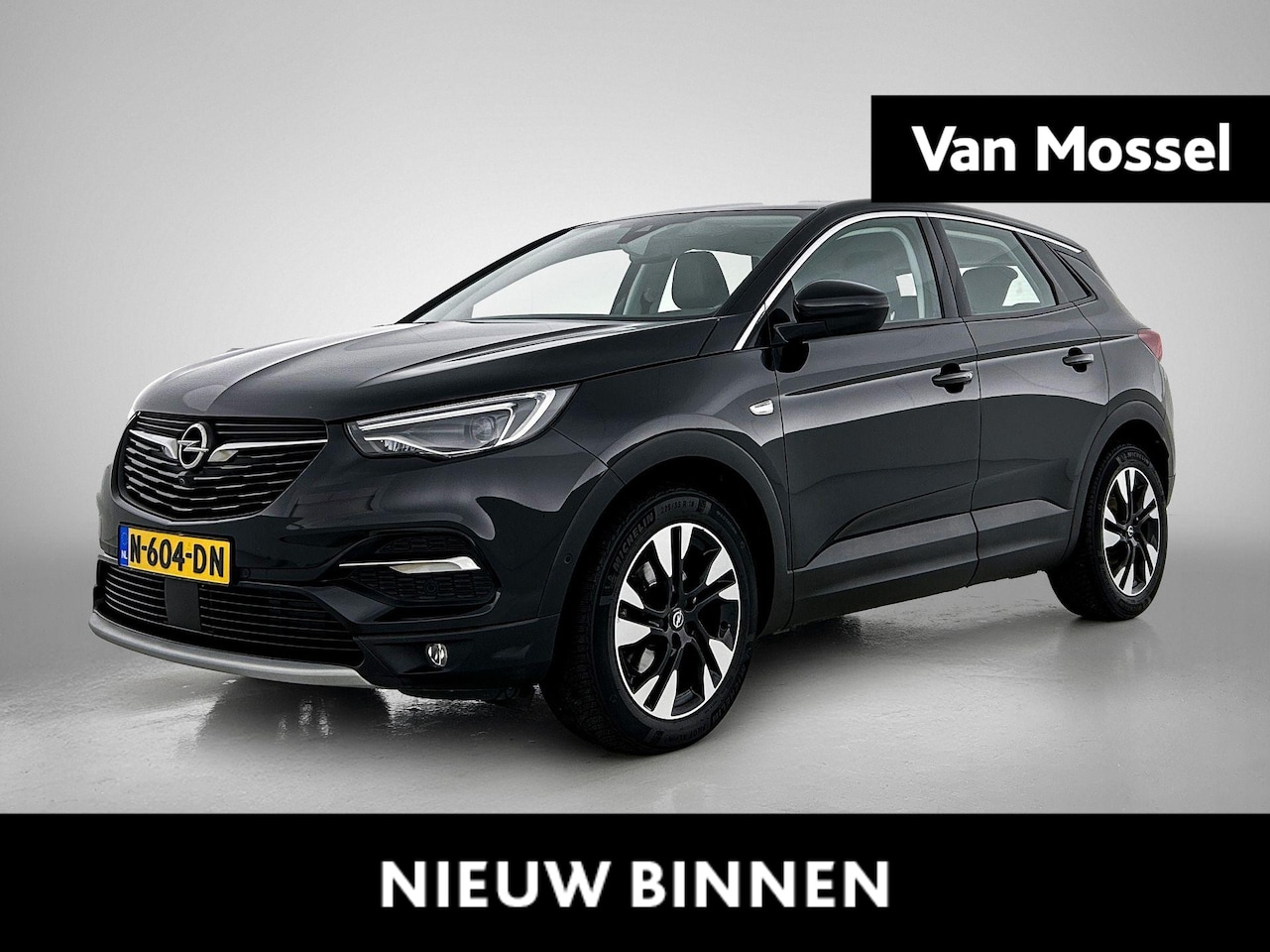 Opel Grandland X - 1.2 Turbo Business Elegance | lederen bekleding  | Stoelverwarming/Ventilatie | Automaat | - AutoWereld.nl