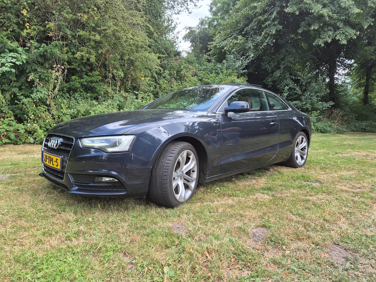 Audi A5 Coupé - 1.8 TFSI Pro Line Panoramadak, leren bekleding - AutoWereld.nl