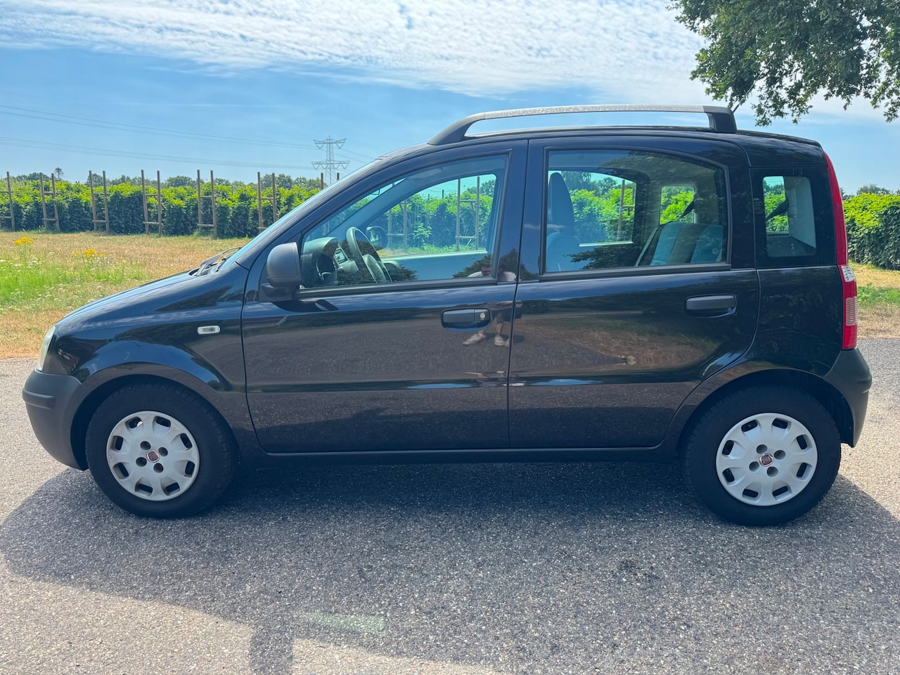 Fiat Panda - 1.2 Actual | Nieuwe APK | NAP - AutoWereld.nl