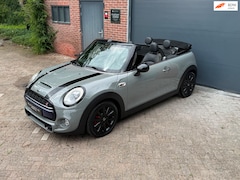 MINI Cabrio - 2.0 Cooper S Chili l Harman Kardon l Stoelverwarming l Cruise Control l Voorruitverwarming