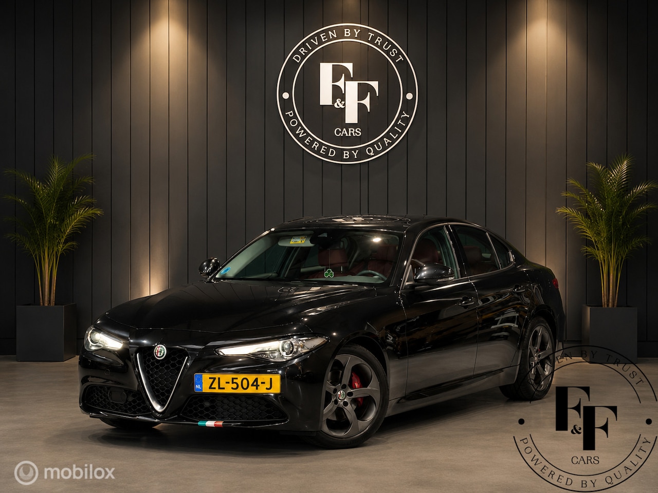 Alfa Romeo Giulia - 2.2 Super|Automaat|Leder|Harman Kardon|Camera|Navi - AutoWereld.nl