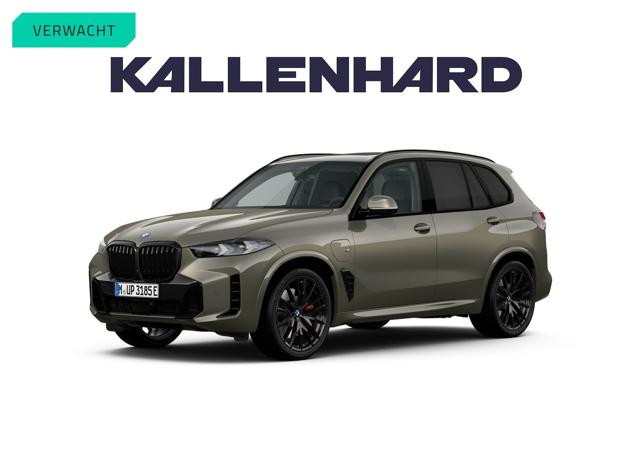 BMW X5 - xDrive50e - M-Sport - M-zetels - Pano - Trekhaak - Driving Ass Prof - AutoWereld.nl