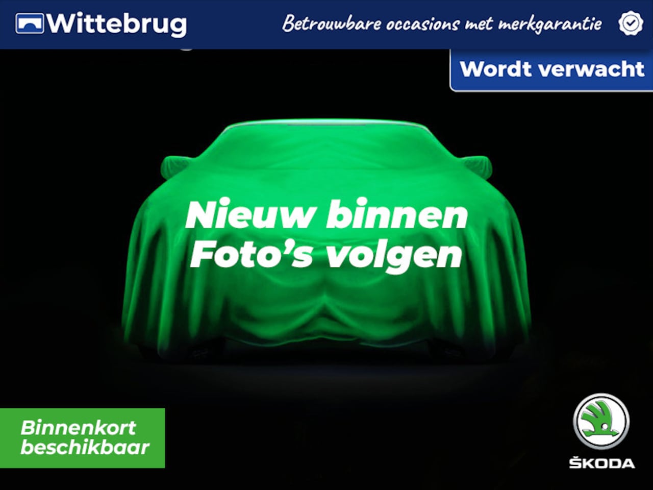 Skoda Fabia - 1.0 TSI Business Edition / App connect / Parkeersensoren V+A / Lichtmetaal 15 inch / LED / - AutoWereld.nl